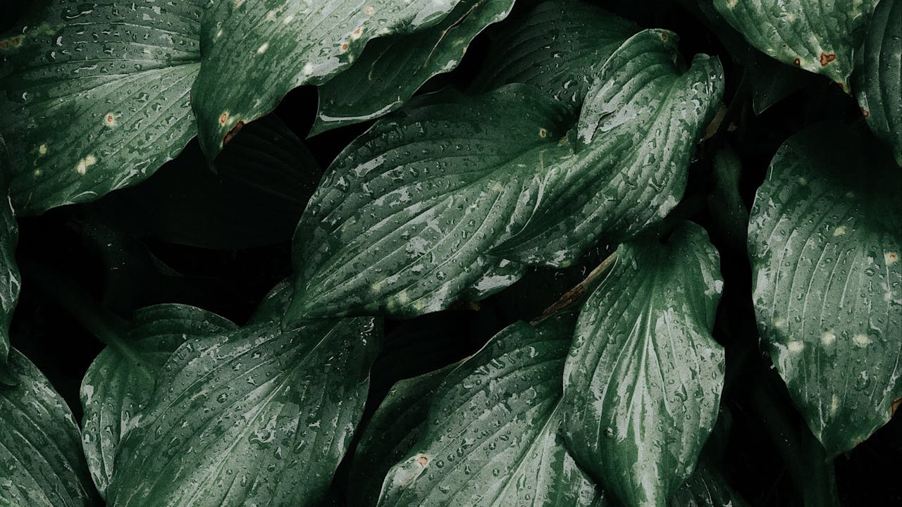 A screenshot of a press outreach dashboard showing how to get your app featured by the press.